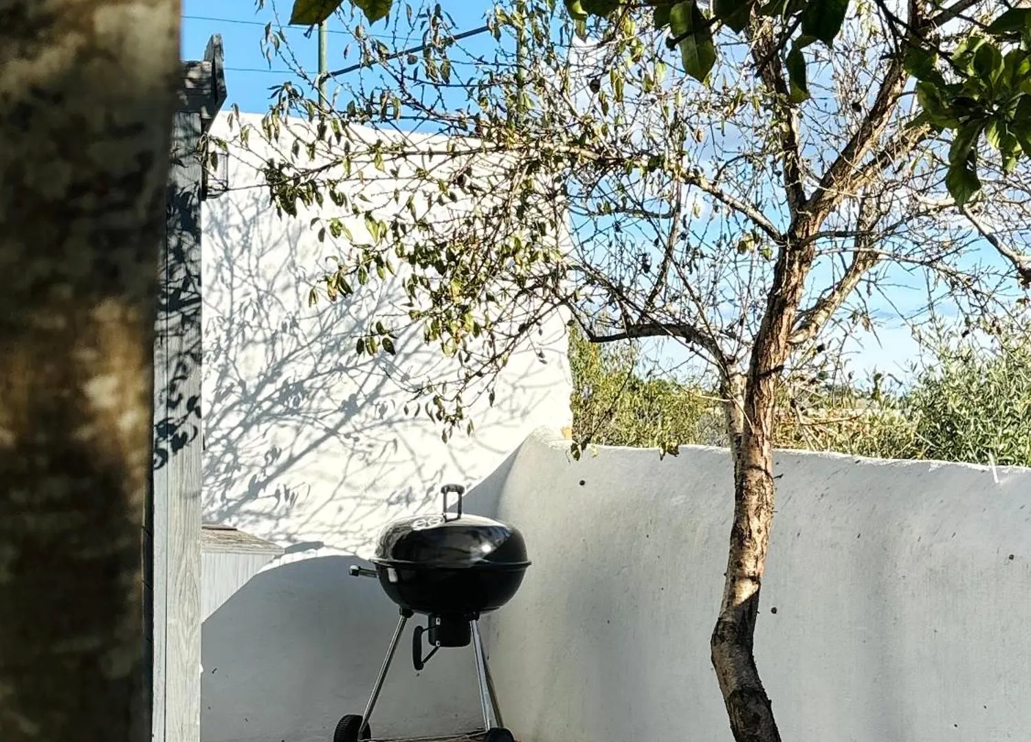 בית נופש Estômbar Casa Da Artista - Stylish House With Plunge Pool And Lush Garden Close To Beach
